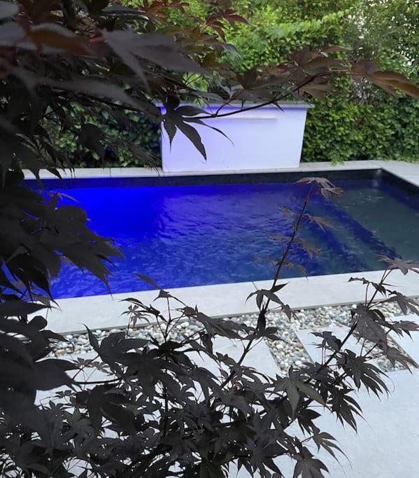 Villa Moderne Avec Piscine Альби Экстерьер фото